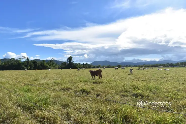 Lot 2 Francis Road, Utchee Creek QLD 4871
