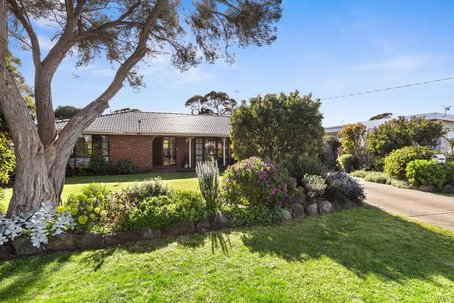 Main view of Homely house listing, 13 Teatree Close, Ocean Grove VIC 3226