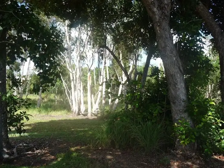 Fifth view of Homely land listing, 75 Banfield Parade, Wongaling Beach QLD 4852