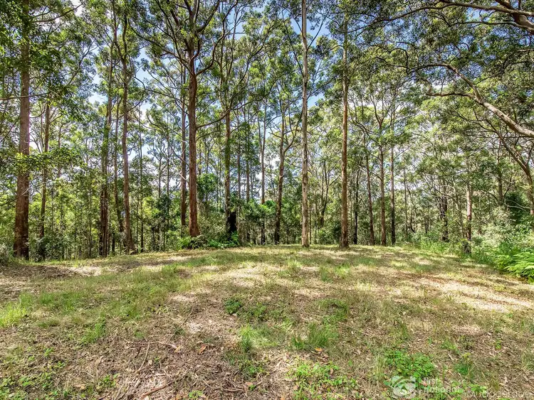 Fourth view of Homely land listing, 1806 Gold Coast Springbrook Road, Springbrook QLD 4213
