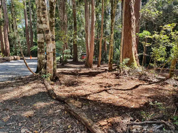 Second view of Homely land listing, 7 Wattle Grove, Springbrook QLD 4213
