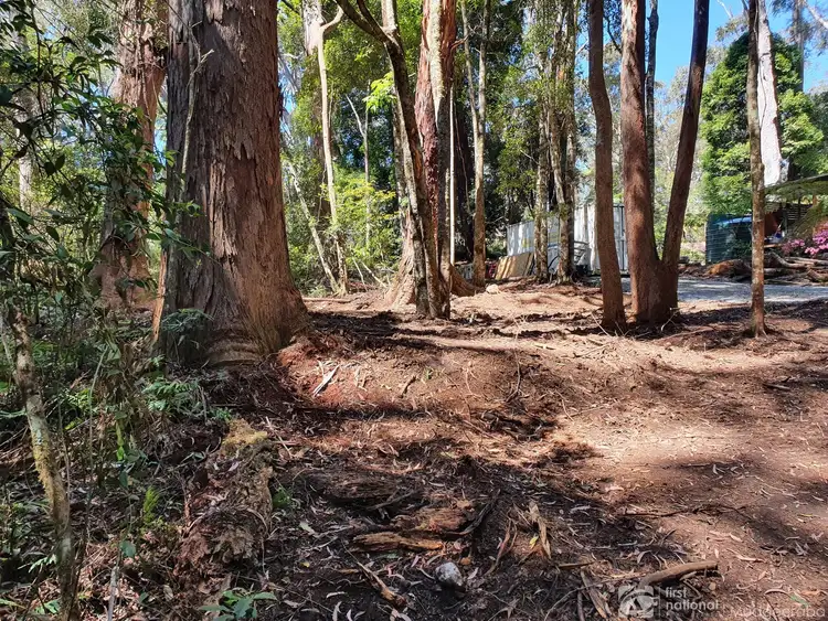 Fifth view of Homely land listing, 7 Wattle Grove, Springbrook QLD 4213