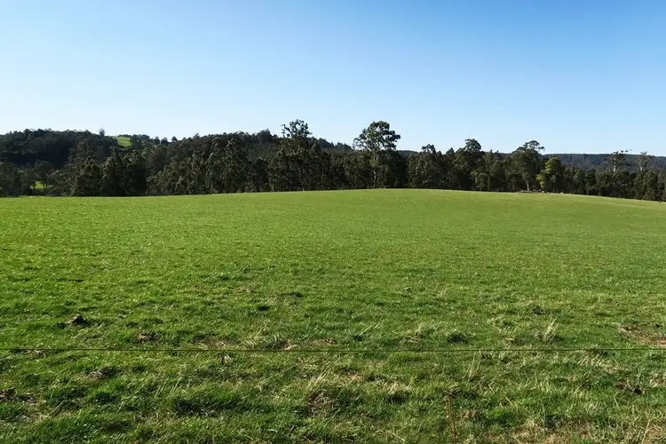 Seventh view of Homely rural property listing, 34 Watts Road, Paradise TAS 7306