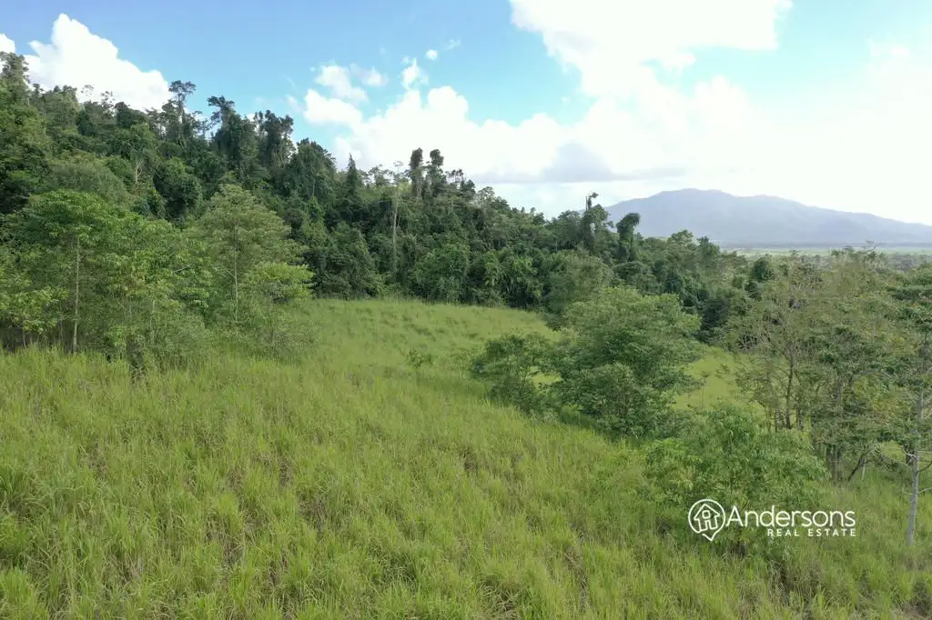 Main view of Homely land listing, 60480 Bruce Highway, Djarawong QLD 4854
