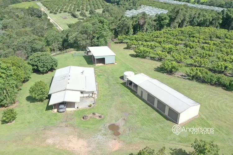 Main view of Homely house listing, 275 Dingo Pocket Road, Dingo Pocket QLD 4854
