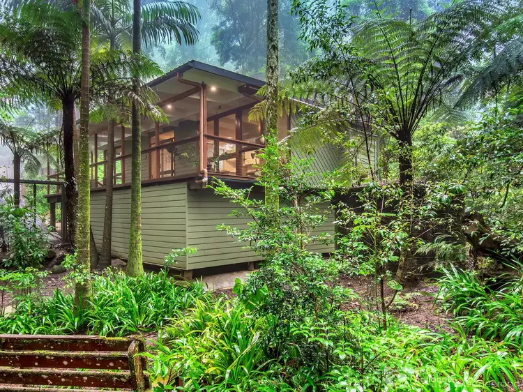 4 Wattle Grove, Springbrook QLD 4213