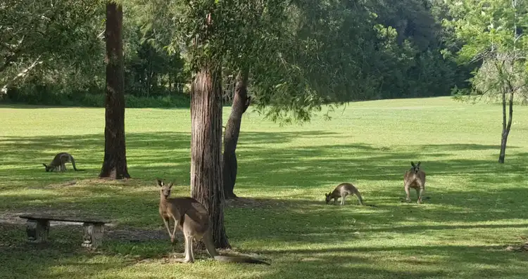 Sixth view of Homely house listing, 3 Kingsgate Drive, Tinbeerwah QLD 4563