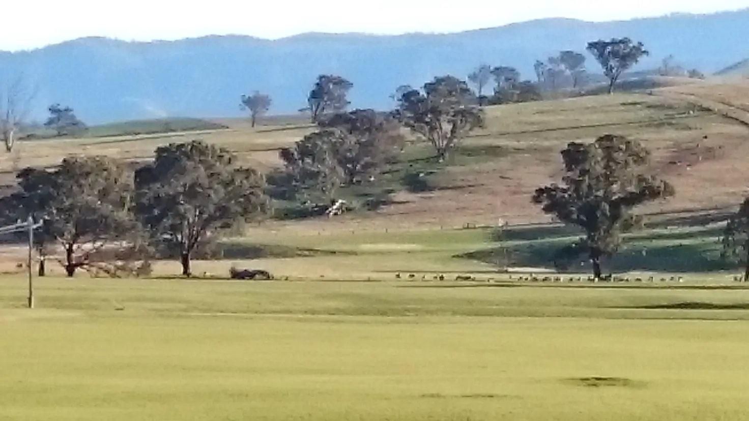 Main view of Homely rural property listing, 210 Swifts Creek East Rd, Doctors Flat VIC 3895