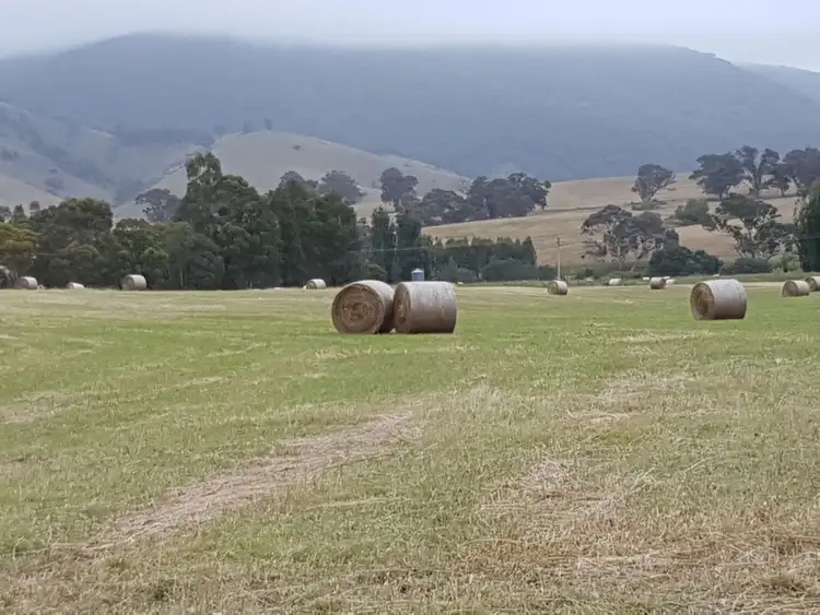 Second view of Homely rural property listing, 210 Swifts Creek East Rd, Doctors Flat VIC 3895