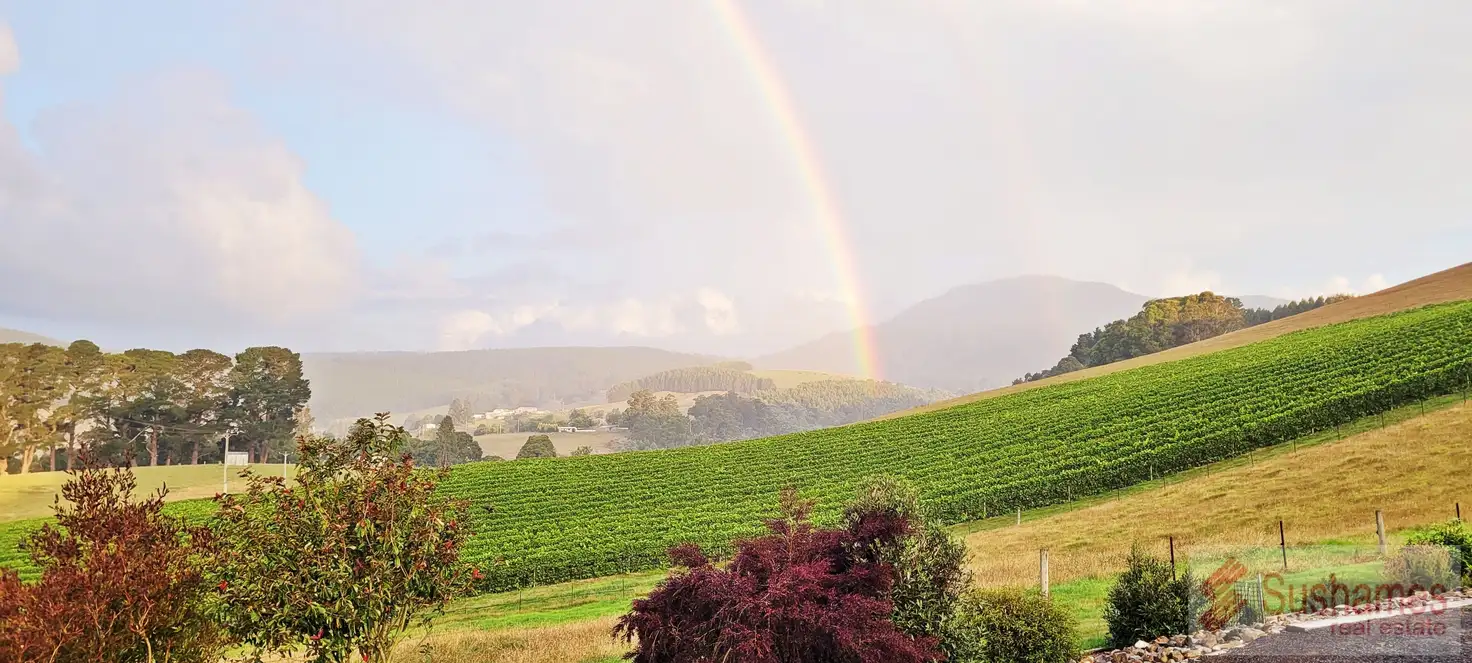 Main view of Homely rural property listing, 106 Browns Road, North Lilydale TAS 7268
