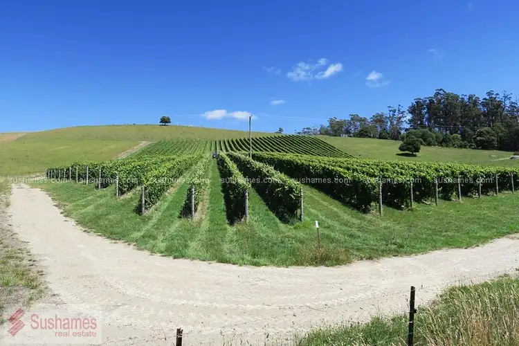 Third view of Homely rural property listing, 106 Browns Road, North Lilydale TAS 7268