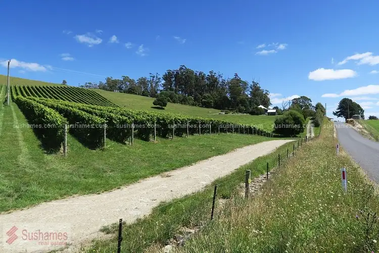 Fourth view of Homely rural property listing, 106 Browns Road, North Lilydale TAS 7268