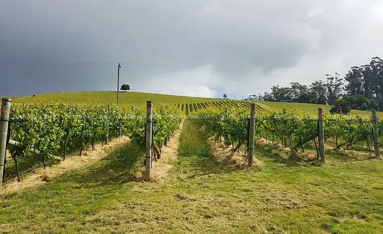 Fifth view of Homely rural property listing, 106 Browns Road, North Lilydale TAS 7268