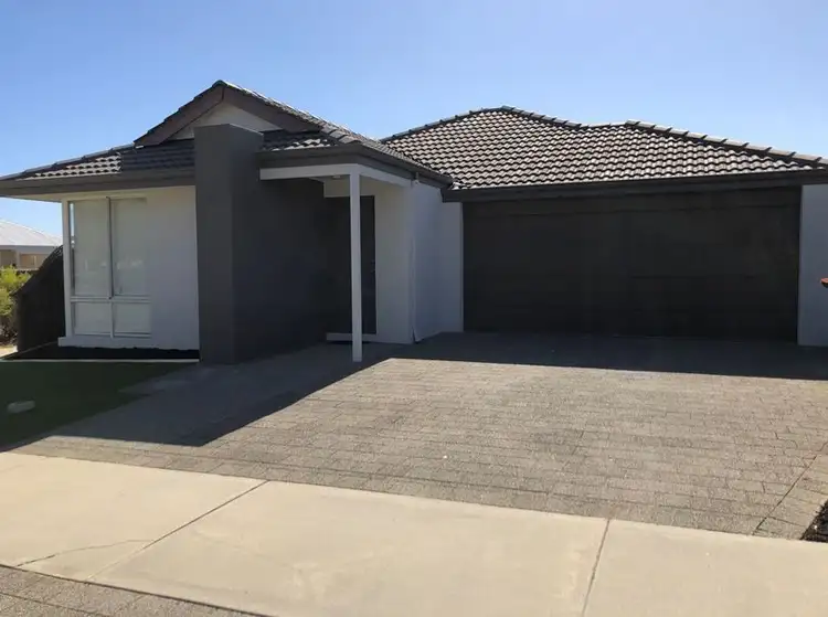 Main view of Homely house listing, 19 Brixham Vista, Butler WA 6036