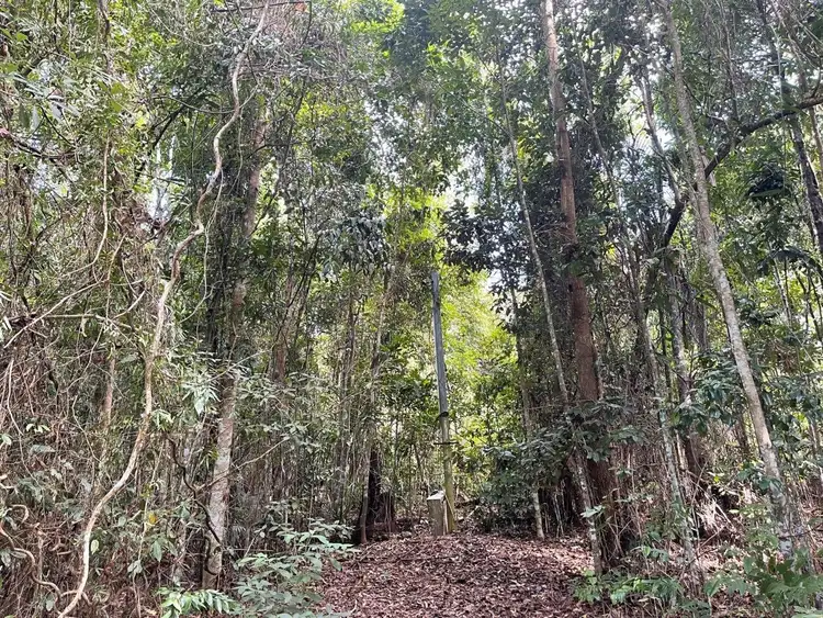 Seventh view of Homely land listing, Plantation Drive, Bingil Bay QLD 4852