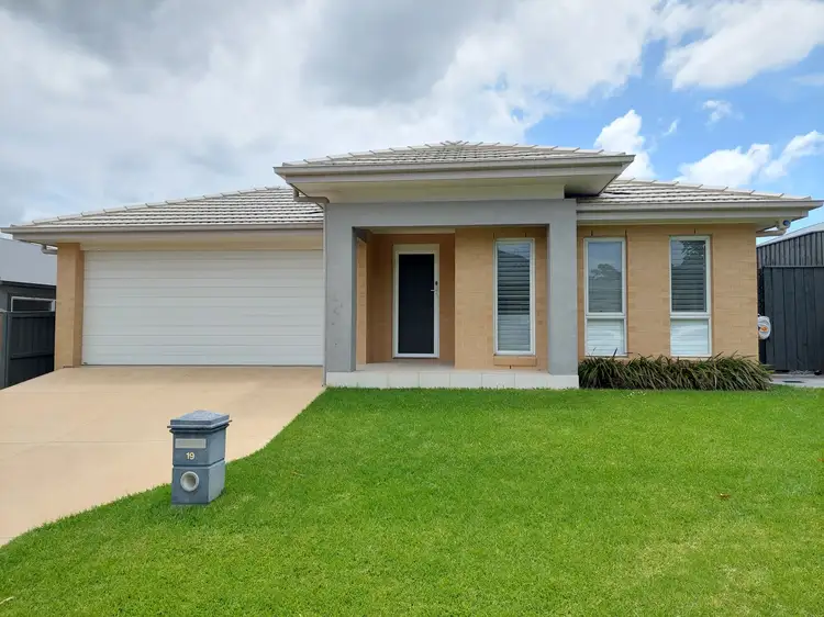 Main view of Homely house listing, 19 Vine Street, Chisholm NSW 2322