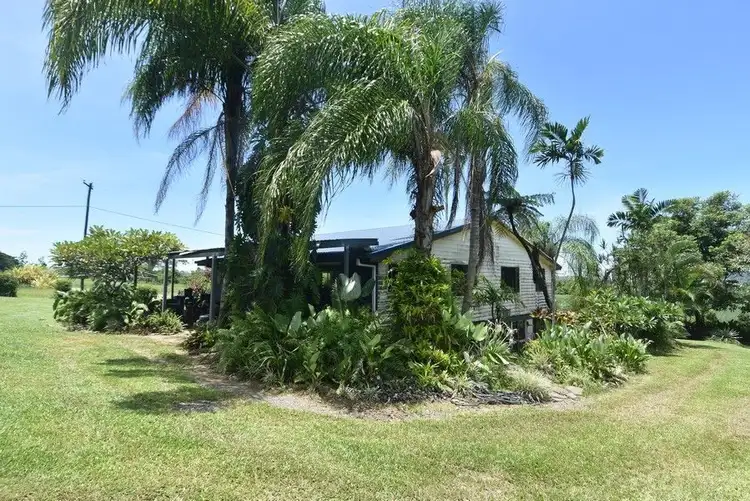 Third view of Homely house listing, 49 Bilic Road, El Arish QLD 4855