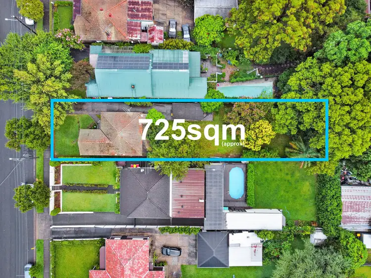 36 Mimosa Street, Bexley NSW 2207