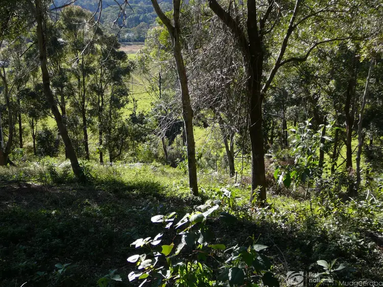 Fourth view of Homely land listing, 85 Lyrebird Ridge Road, Springbrook QLD 4213