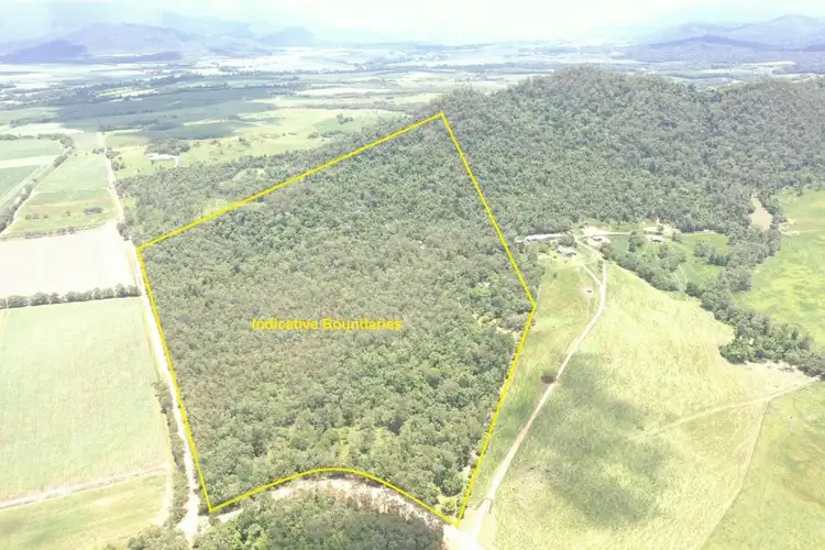 Fifth view of Homely house listing, 640 Scougall Road, Dingo Pocket QLD 4854