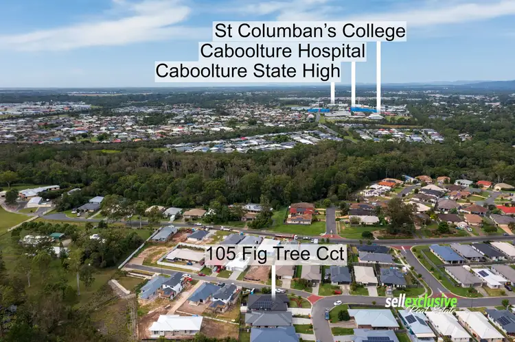 Main view of Homely house listing, 105 Fig Tree Circuit, Caboolture QLD 4510