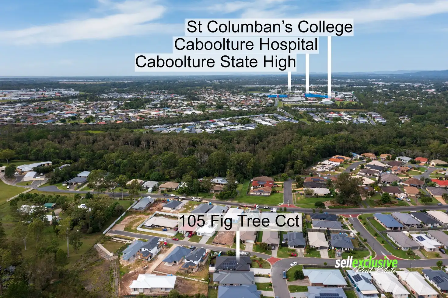 Main view of Homely house listing, 105 Fig Tree Circuit, Caboolture QLD 4510
