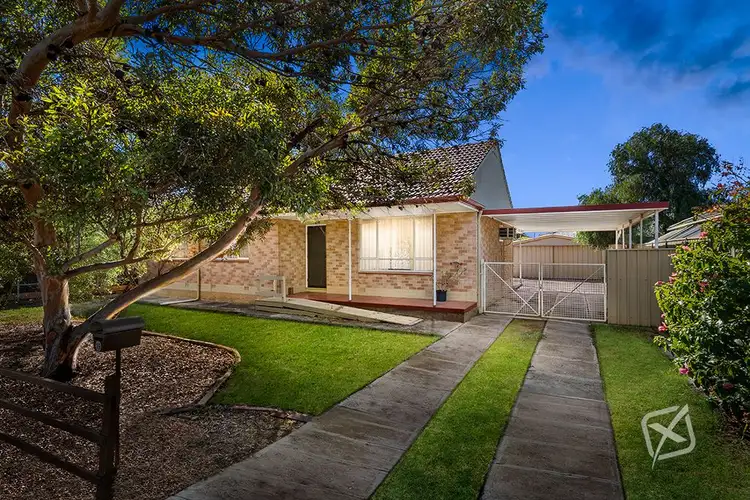 Main view of Homely house listing, 19 Blueberry Road, Parafield Gardens SA 5107
