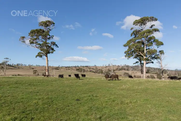 Sixth view of Homely rural property listing, 678 Craigburn Road, Hillwood TAS 7252