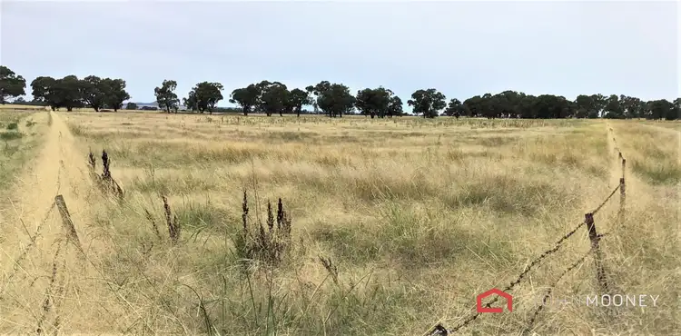 Second view of Homely rural property listing, 227 Mangoplah Road, The Rock NSW 2655