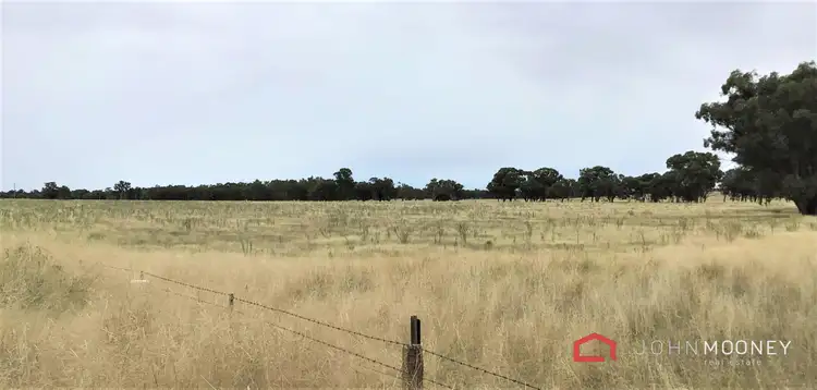 Third view of Homely rural property listing, 227 Mangoplah Road, The Rock NSW 2655