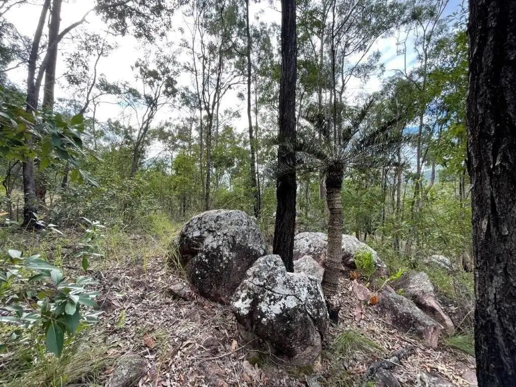 Main view of Homely rural property listing, Address available on request