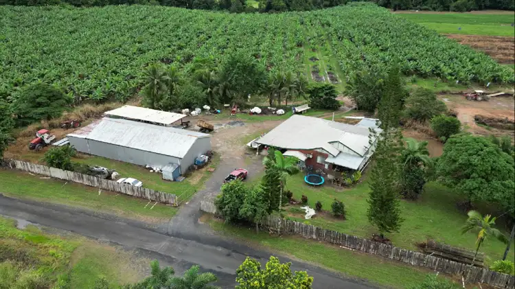 384 Mena Creek Road, Mena Creek QLD 4871
