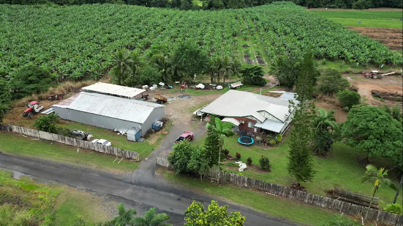 Main view of Homely rural property listing, 384 Mena Creek Road, Mena Creek QLD 4871