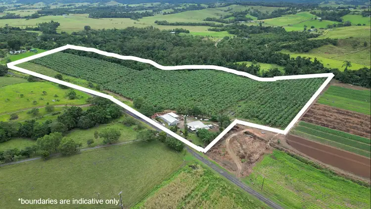 Second view of Homely rural property listing, 384 Mena Creek Road, Mena Creek QLD 4871