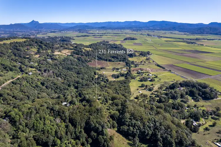 Second view of Homely rural property listing, 231 Farrants Road, Farrants Hill NSW 2484