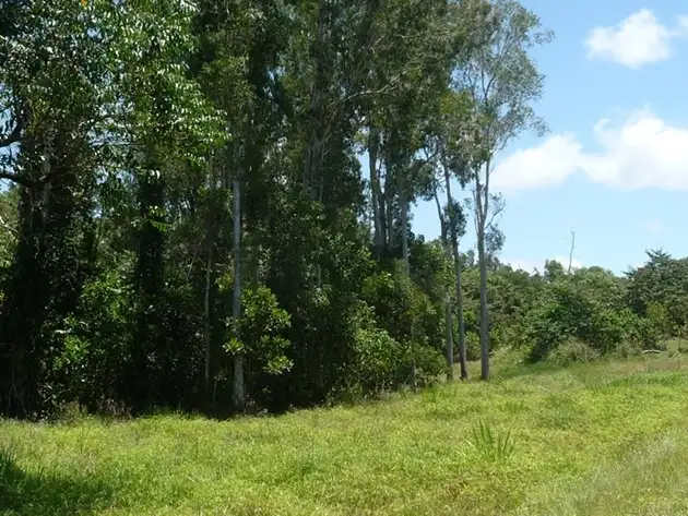 Second view of Homely land listing, 1827 Tully Mission Beach Road, Wongaling Beach QLD 4852