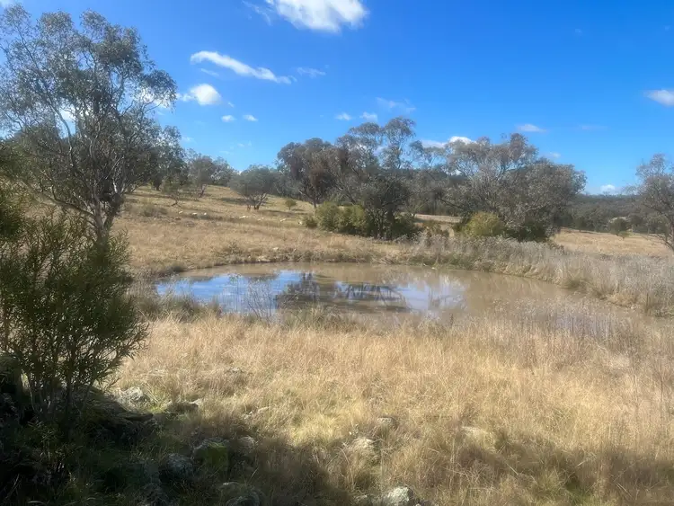 Third view of Homely rural property listing, 267 Lowes Creek Road, Quipolly NSW 2343