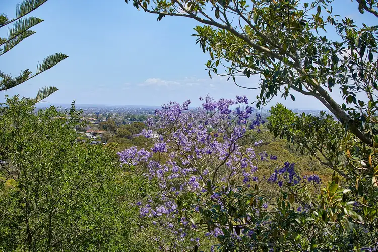 Fifth view of Homely apartment listing, 16/258 Pacific Highway, Greenwich NSW 2065