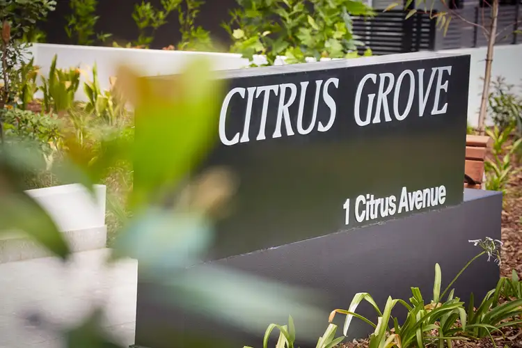 Sixth view of Homely apartment listing, 24/1 Citrus Avenue, Hornsby NSW 2077