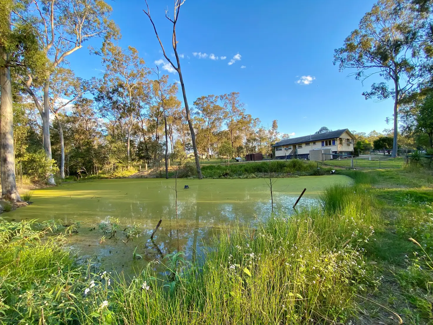 Main view of Homely house listing, 10 Wheatley Court, Regency Downs QLD 4341