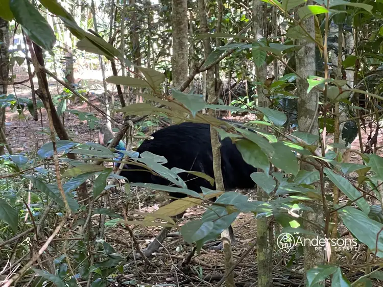 Sixth view of Homely land listing, Proposed Lot 4 Off Dunkalli Cr, Wongaling Beach QLD 4852