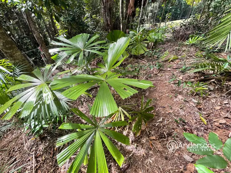 Fourth view of Homely land listing, Proposed Lot 5 Off Dunkalli Cr, Wongaling Beach QLD 4852