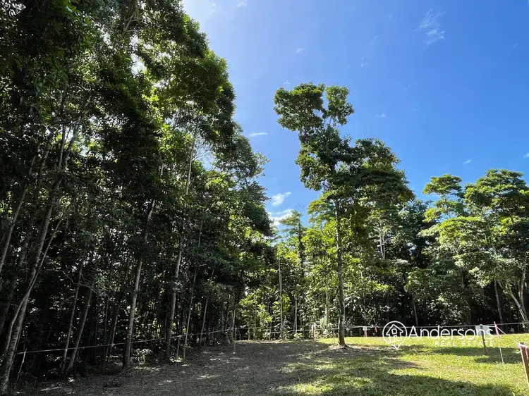 Second view of Homely land listing, Proposed Lot 6 Off Dunkalli Cr, Wongaling Beach QLD 4852
