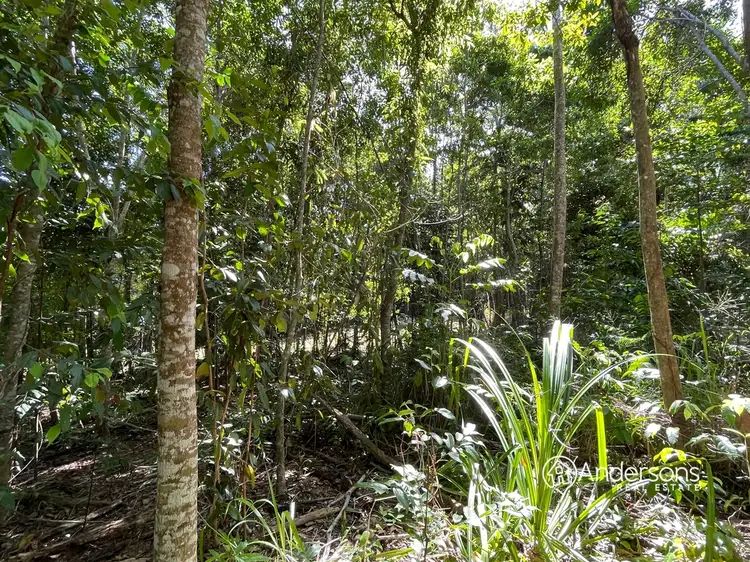 Fifth view of Homely land listing, Proposed Lot 6 Off Dunkalli Cr, Wongaling Beach QLD 4852