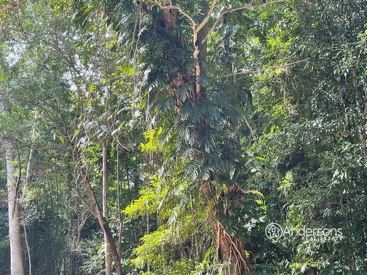 Sixth view of Homely land listing, Proposed Lot 6 Off Dunkalli Cr, Wongaling Beach QLD 4852