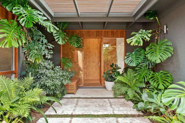127 Powell Street East, Ocean Grove VIC 3226