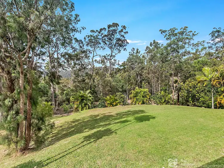 Fifth view of Homely rural property listing, 94 Staghorn Drive, Austinville QLD 4213