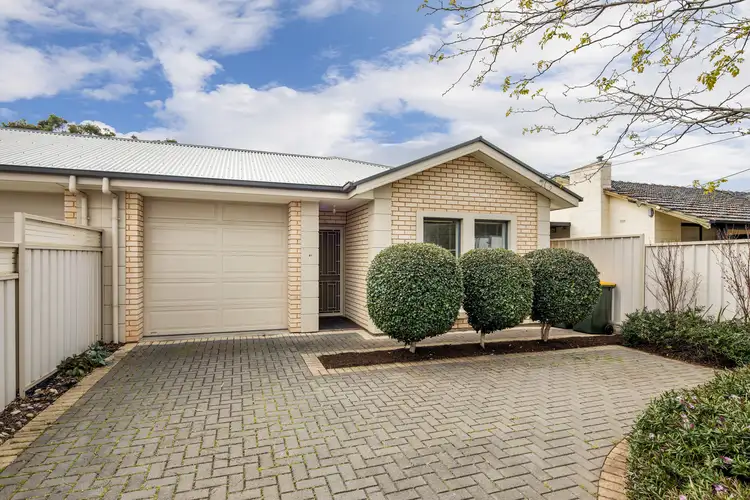 51 Sunshine Avenue, Warradale SA 5046