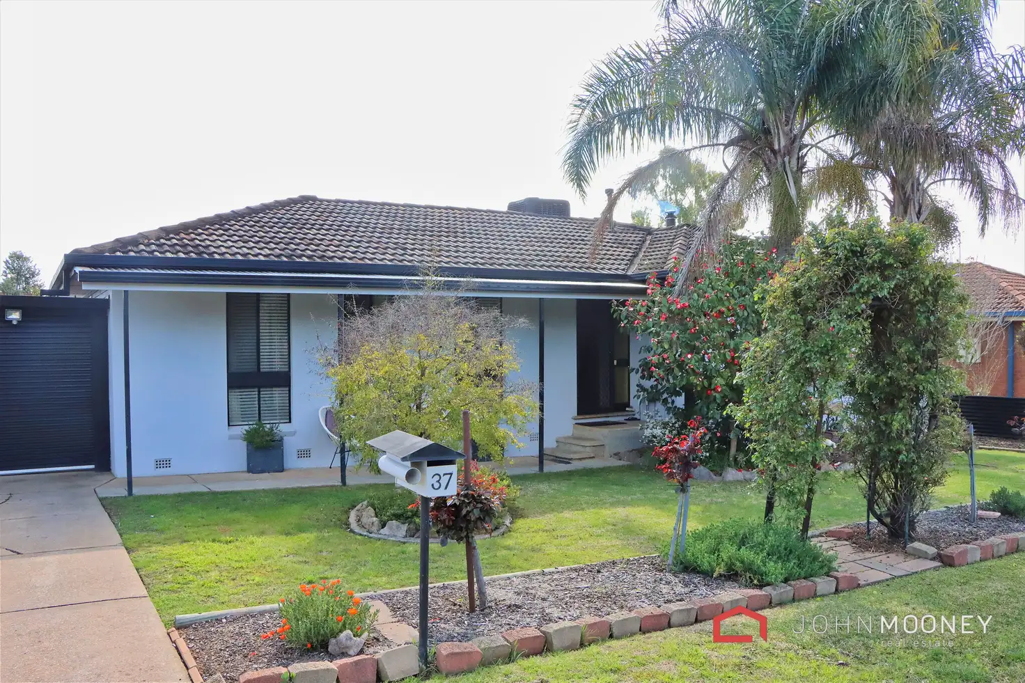Main view of Homely house listing, 37 Cox Avenue, Forest Hill NSW 2651