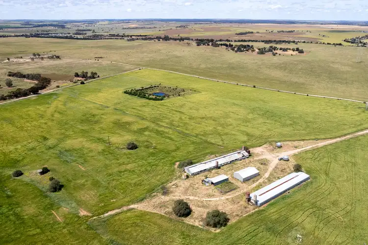 Sixth view of Homely rural property listing, 262 Avoca Dell Drive, Murray Bridge SA 5253